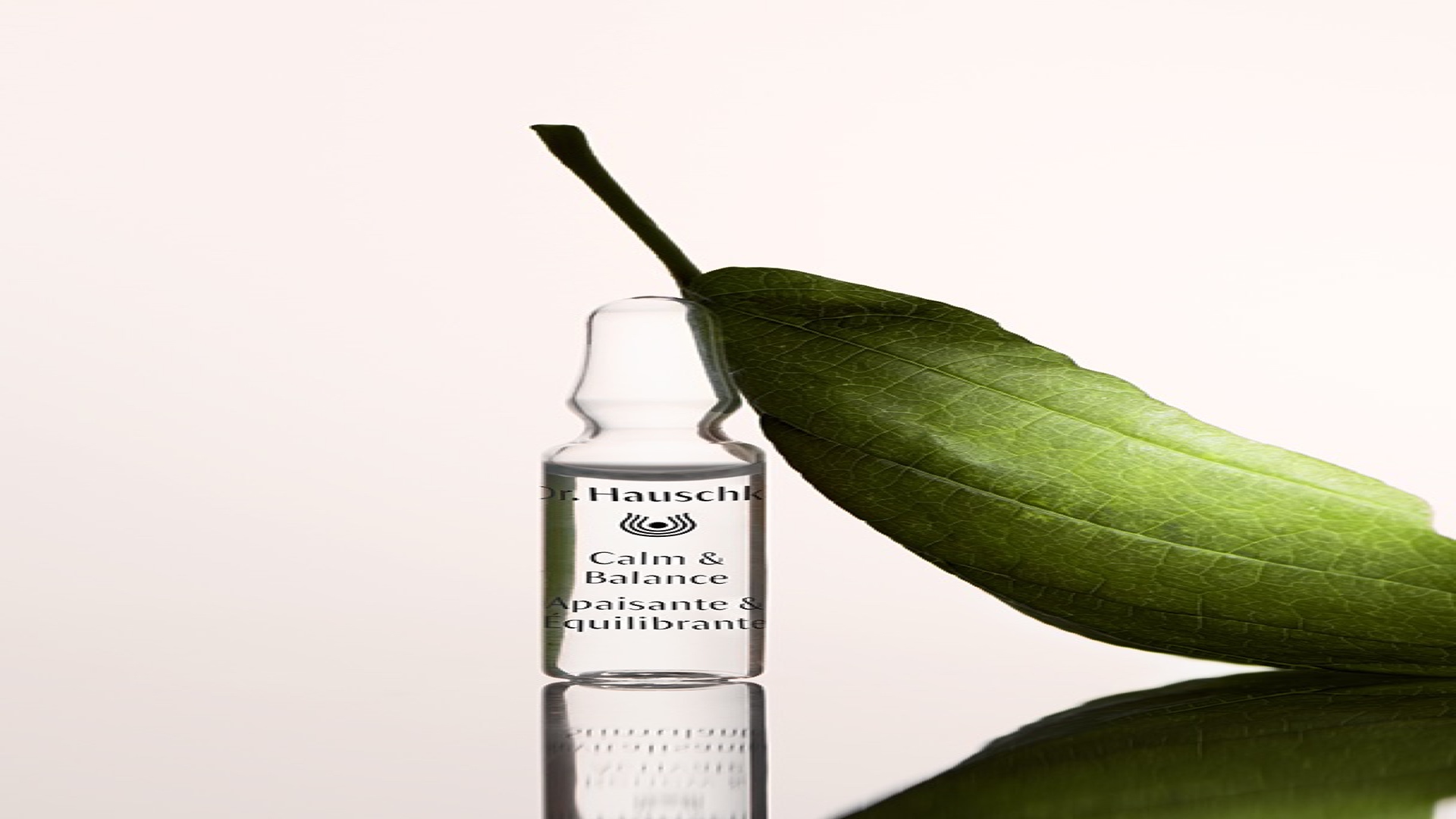 Ampoule Dr. Hauschka Calm & Balance avec une feuille verte