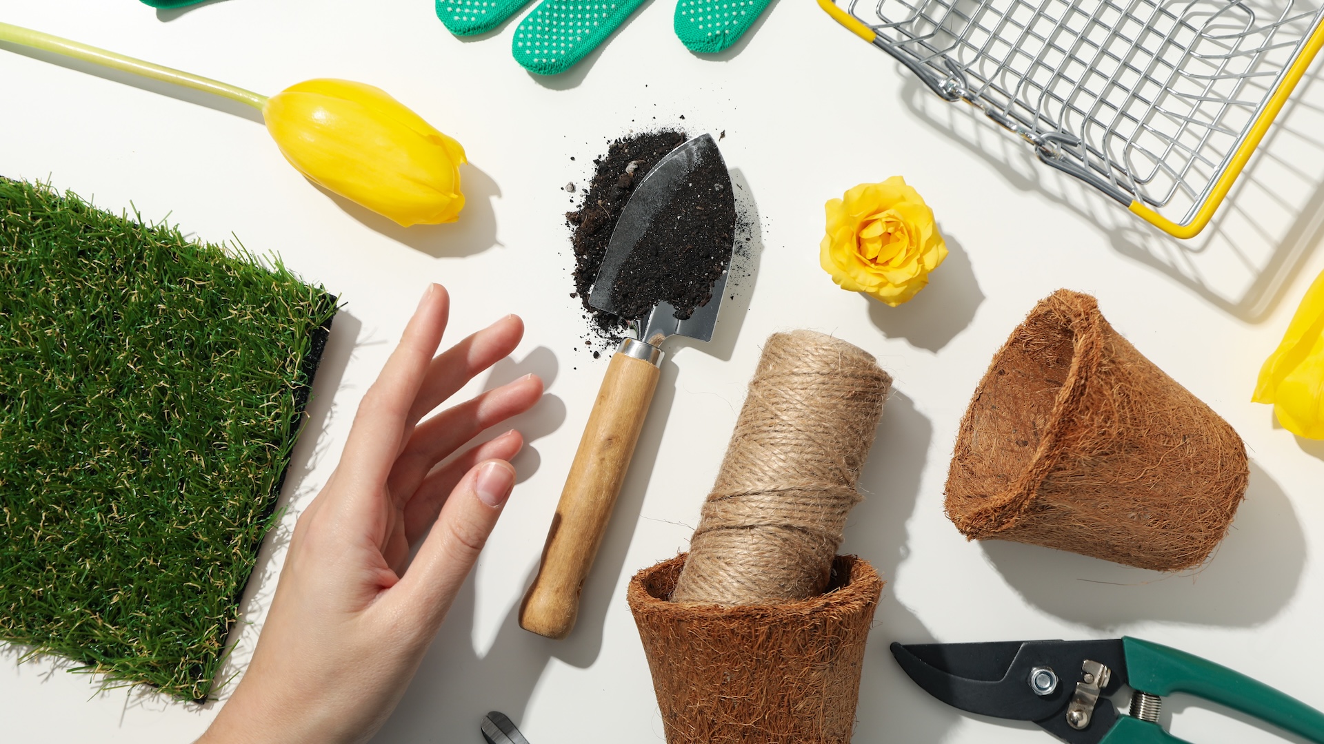le bricolage et le jardin, NielsenIQ table sur un marché “calme” pour 2026 - Beyond Sales