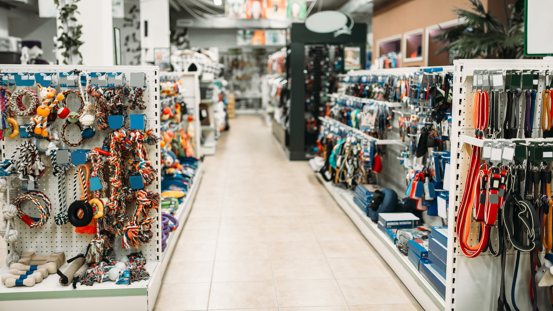Commerce spécialisé : les chiffres de mars 2026 révèlent un marché à deux vitesses - Beyond Sales
